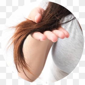 Hair Damage Png, Transparent Png - hair strand png