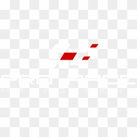 Prorace Logo White-01 - Prorace Logo, HD Png Download - white twitter icon png