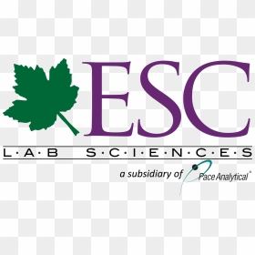 Success Lab Png - Esc Lab Sciences Logo, Transparent Png - science lab png