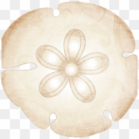 Shell Clipart Sand Dollar - Motif, HD Png Download - sand dollar png