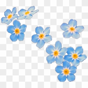 #overlay #overlays #flower #flowers #blue #editinghelp - Forget Me Not Flowers Cartoon, HD Png Download - flower overlay png