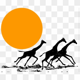 Transparent Giraffe Silhouette Png - Giraffe, Png Download - giraffe silhouette png