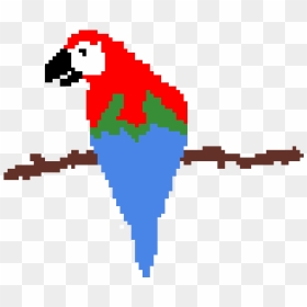 Macaw, HD Png Download - macaw png