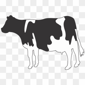 Imágenes De Vacas , Png Download - Cows Pdf, Transparent Png - vaca png