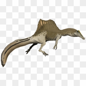 Spinosaurus New Tail 2020, HD Png Download - claw slash png
