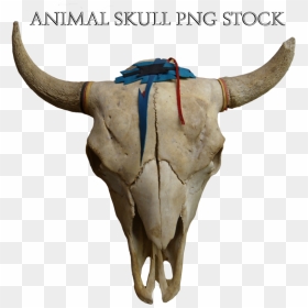 Thumb Image - Skull Animal Png, Transparent Png - animal skull png