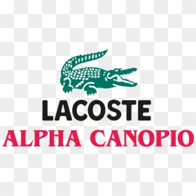 Alpha Lacoste Logo Vector - Lacoste Logo Png, Transparent Png - lacoste logo png