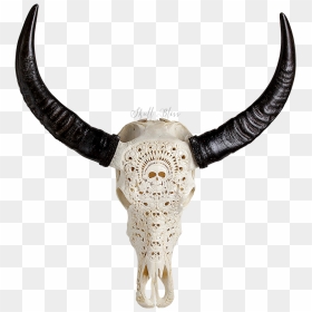 Animal Skulls Cattle Horn Bone - Skull, HD Png Download - animal skull png