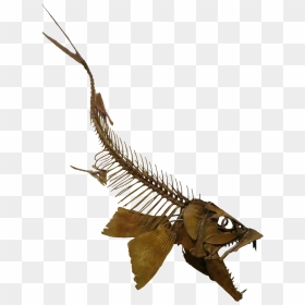 Sabertooth Herring, HD Png Download - fish skeleton png