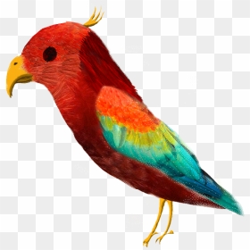 Macaw , Png Download - Macaw, Transparent Png - macaw png