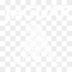 Jaguar - Illustration, HD Png Download - black jaguar png