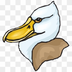 Terribly Charismatic Duck, HD Png Download - duck head png