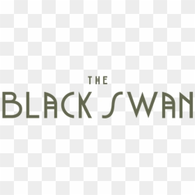 Graphics, HD Png Download - black swan png