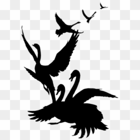Swans Flying Clip Art, HD Png Download - black swan png
