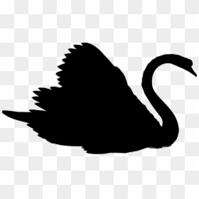 Illustration, HD Png Download - black swan png