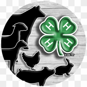 Livestock 4 H Clip Art, HD Png Download - 4h logo png