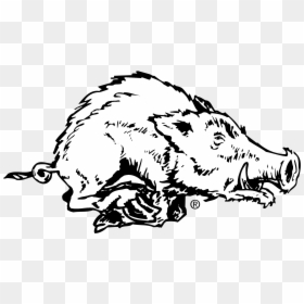 Arkansas Razorbacks, HD Png Download - arkansas razorbacks logo png