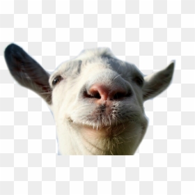 Transparent Goat Head Png, Png Download - goat simulator png