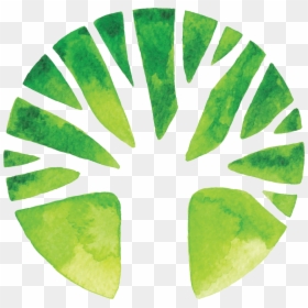 Circle, HD Png Download - life icon png