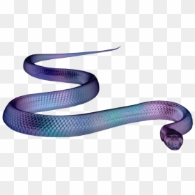 Smooth Earth Snake, HD Png Download - earth texture png