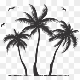 Palm Tree Silhouette Png, Transparent Png - tumblr white png