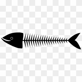 Sardine Skeleton, HD Png Download - fish skeleton png