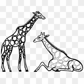 Child Clipart Black And White Elephant Clipart - Giraffes Clipart Black And White, HD Png Download - giraffe silhouette png