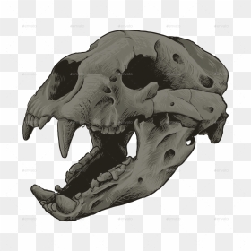 Skull, HD Png Download - animal skull png