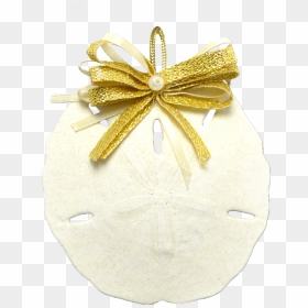 Round Sand Dollar Christmas Holidays Ornament 3-4 - Insect, HD Png Download - sand dollar png