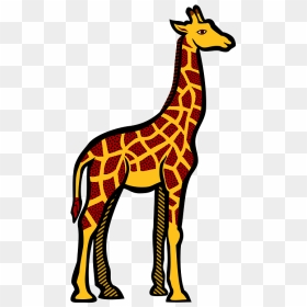 Giraffe Clipart - Coloured Picture Of Giraffe, HD Png Download - giraffe silhouette png