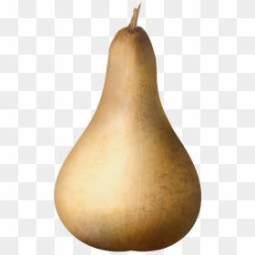 Pumpkin , Png Download - Gourd, Transparent Png - pumpkin vector png