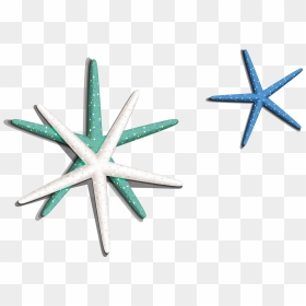 Sea Star Png Image - Starfish, Transparent Png - sea star png