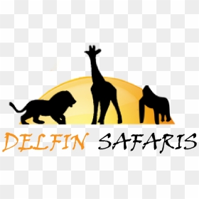 Home - Giraffe - Acx Pacific, HD Png Download - giraffe silhouette png