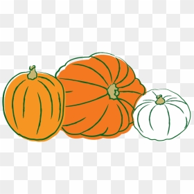 Clipart Pumpkin Vector - Calabaza Png Dibujo, Transparent Png - pumpkin vector png