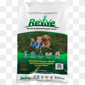 Revive Granules - Revive Soil Treatment, HD Png Download - dead grass png