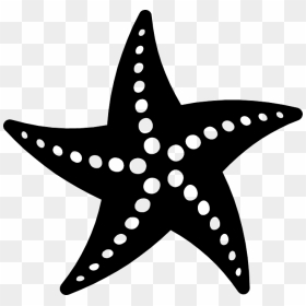 Sea Star Clipart Black And White Image Free Stock Png - Black And White Starfish Clipart, Transparent Png - sea star png
