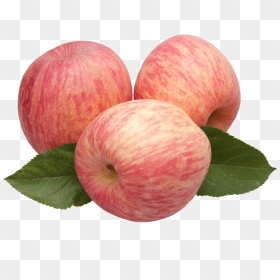 Find Really Shandong Yantai Qixia Fuji Apple Fresh - Transparent Fuji Apple Png, Png Download - apple fruit png