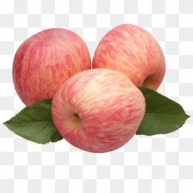 Apple Fruit Transparent, HD Png Download - vhv