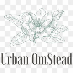 Urban Omstead - Black And White Magnolia Flowers Clipart, HD Png Download - blowing dandelion png