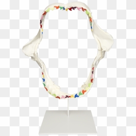 Damien Hirst Rainbow Shark Teeth - Necklace, HD Png Download - shark teeth png