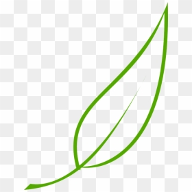 Free Leaf Clip Art, HD Png Download - tea leaves png