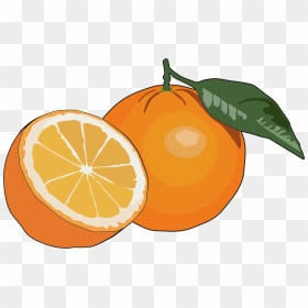 Thumb Image - Dibujo De Una Naranja, HD Png Download - naranja png