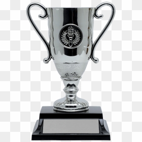 Transparent Silver Trophy Png - Acrylic Trophy, Png Download - silver trophy png