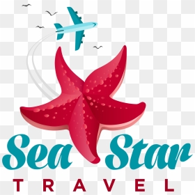 Transparent Sea Star Png, Png Download - sea star png