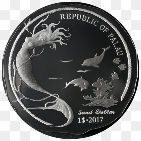 Transparent Sand Dollar Png - Coin, Png Download - sand dollar png