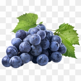 #grapes #uvas #fruit #fruta - Wine Grape, HD Png Download - uvas png