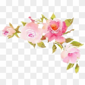 Crown Flower - Clipart Transparent Background Flowers, HD Png Download - flower crown png tumblr