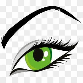 Head,eye,organ - Clip Art Eye Eyelashes, HD Png Download - png eye