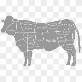 Piezas Carne Vacuno, Vaca, Buey, Cocina - Falda De La Vaca, HD Png Download - vaca png