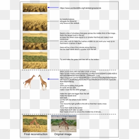 Human Compression Process For The Giraffe Image - Giraffe, HD Png Download - giraffe silhouette png